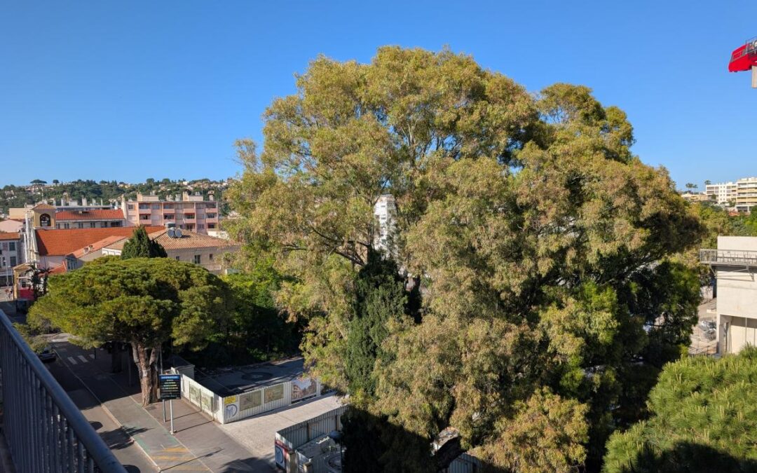 Vente Appartement – 4 pièces – 71 m² à Cagnes-sur-mer (06800)